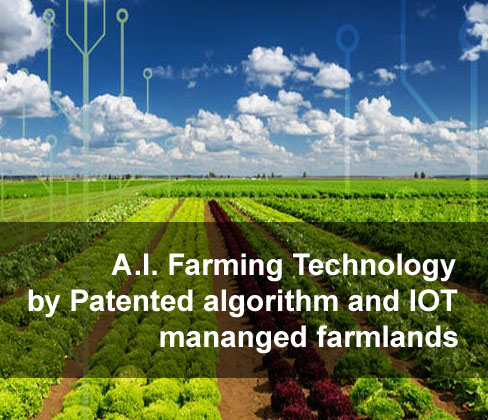 aifarmtech investor ai iot aifarm.ai aifarmtech.com